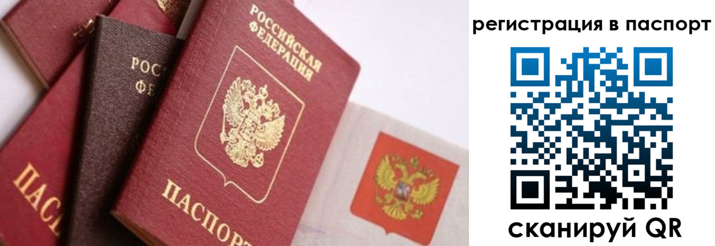 прописка в квартире в Палласовке